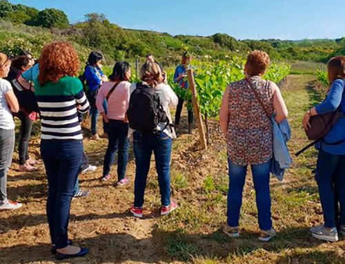 La XXII edición del Día del Rosado trae un mes de actividades en San Martín de Unx