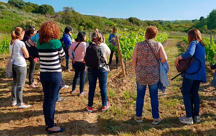 día del rosado san martin de unx