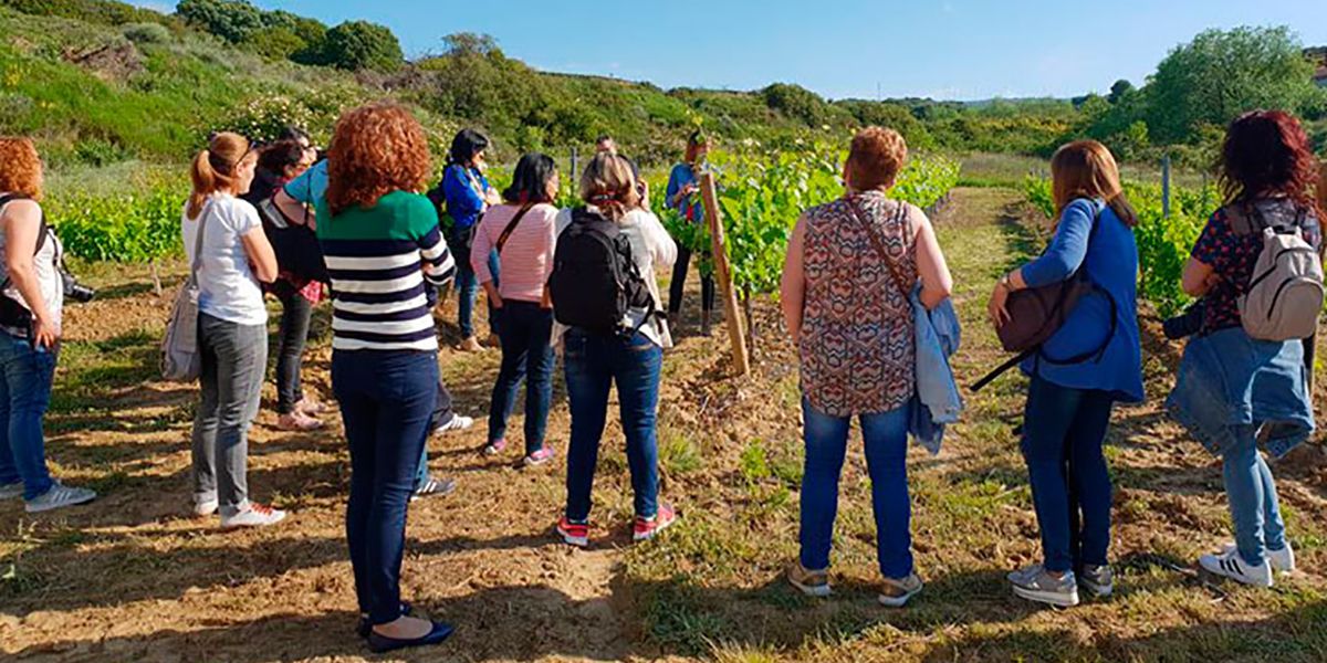 día del rosado san martin de unx