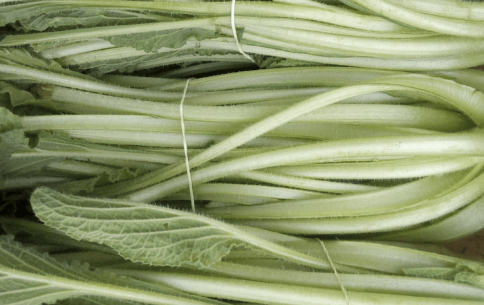 Borraja ecológica de Larrain