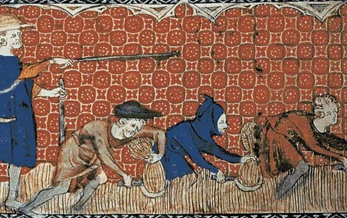 Revuelta Campesina Portada