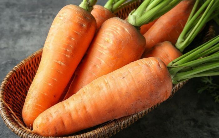 Zanahoria la reina de la vitamina a