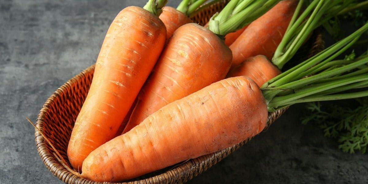 Zanahoria la reina de la vitamina a