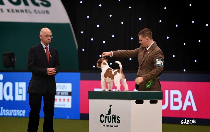 iñigo espila gaya presenta a su perro en birmingham