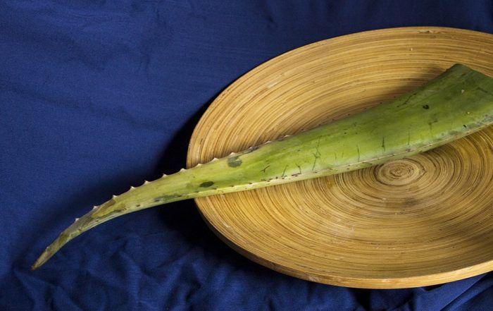 aloe vera al plato