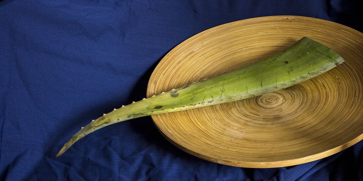 aloe vera al plato