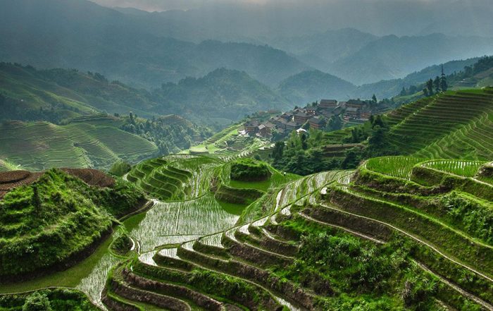 llamada huerta caminando a la agroecología 1 junio 2023
