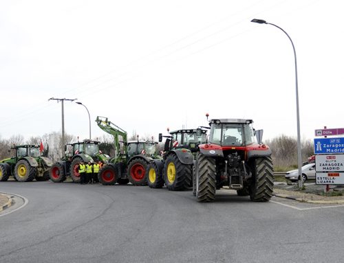 Sin campo no hay pan, pero sin Tierra no hay campo