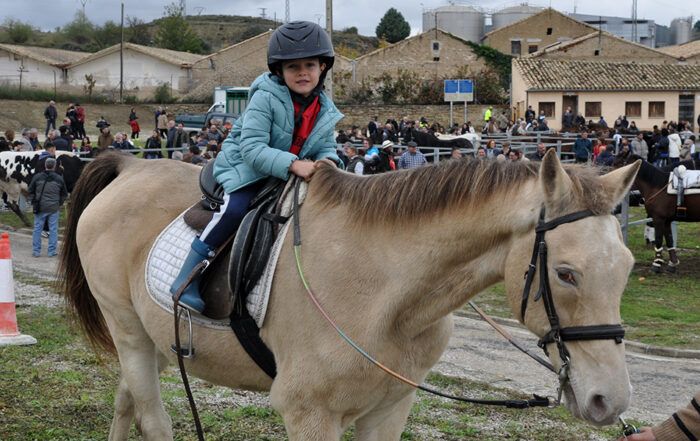 Feria Caballar Tafalla